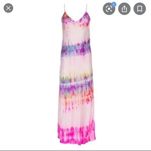 Dannijo Strawberry Fields Slip Dress